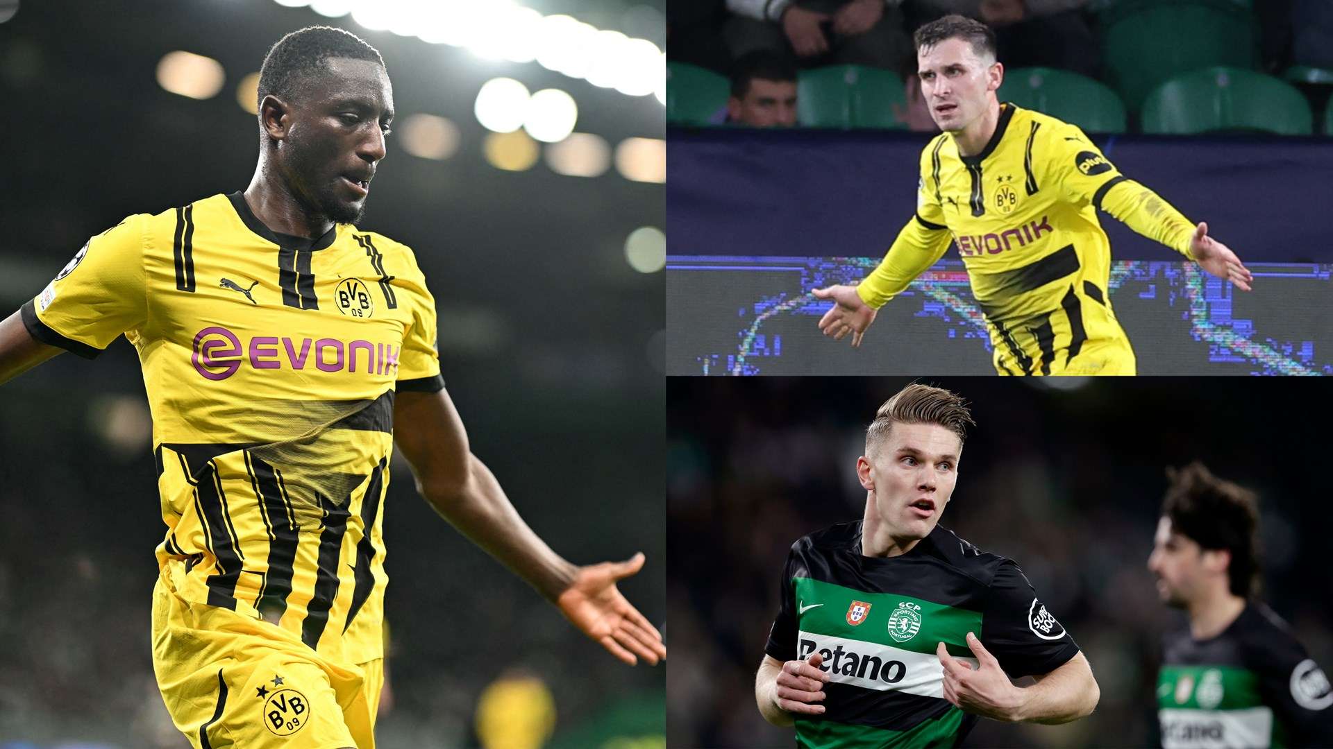 强的拼搏精 强的拼搏精