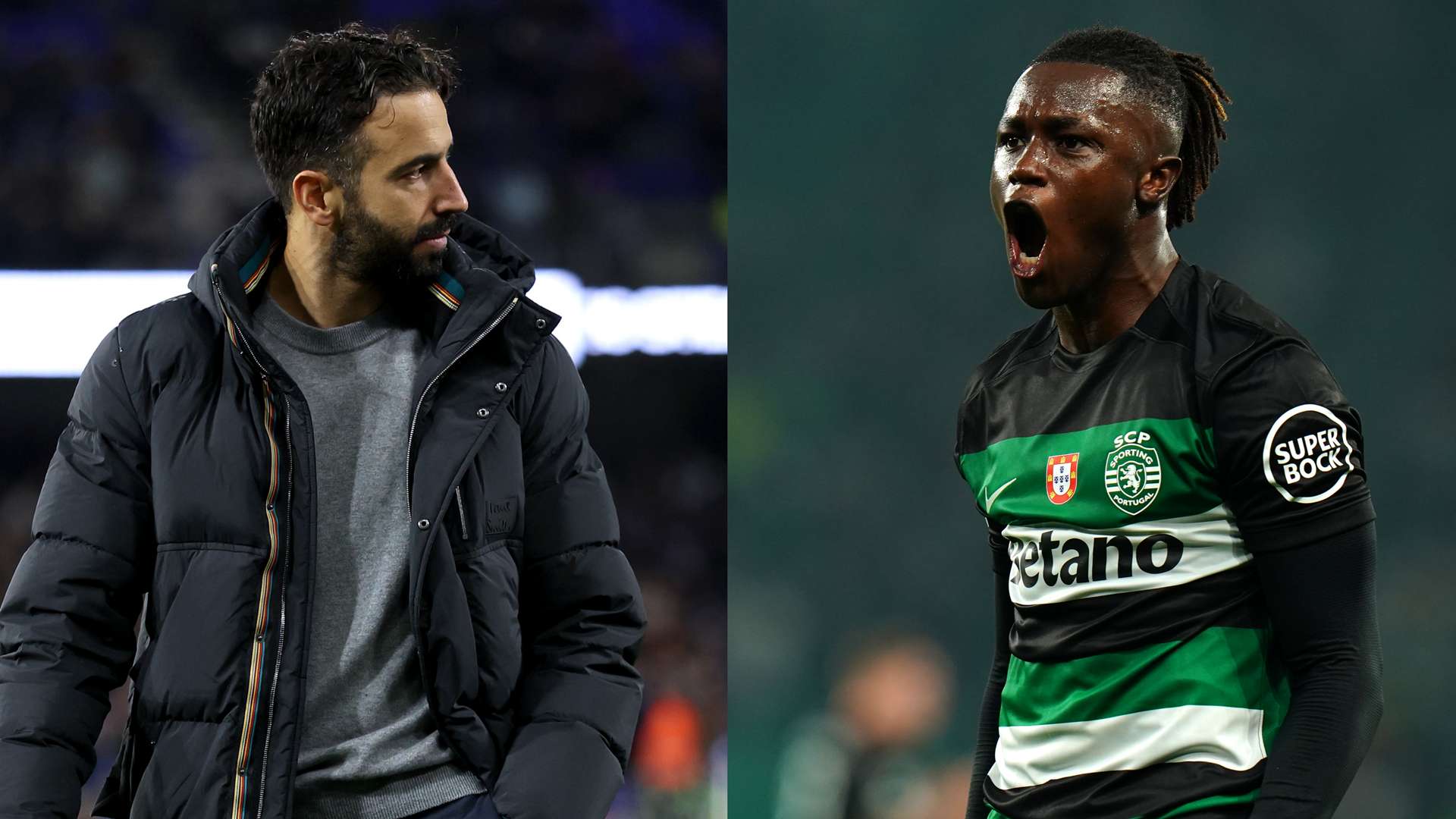 或许是国王 或许是国王